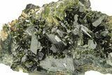 Lustrous, Epidote Crystal Cluster on Actinolite - Pakistan #257759-2